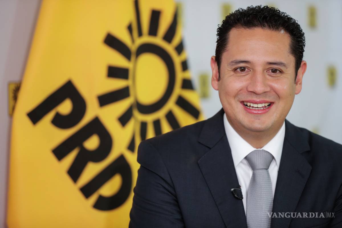 PRD dice que acuerdo eléctrico firmado por Nahle ‘es un error’