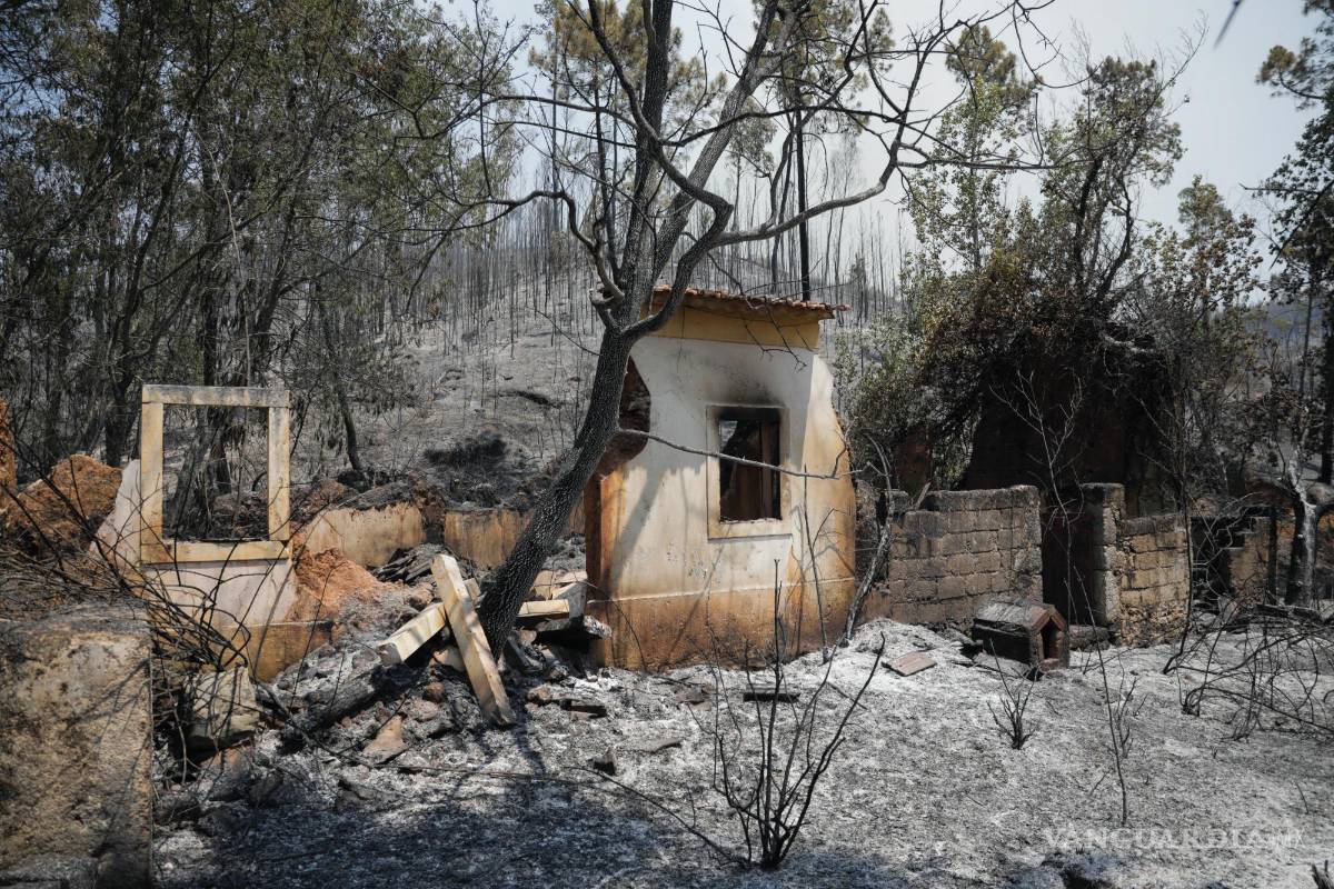 $!Los bomberos trabajan para combatir los incendios forestales en Freixianda, Ourem, Portugal