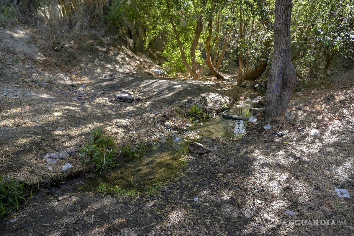 Alto grado de contaminación del Pozo Azul vuelve letal entorno para Carpita de Saltillo