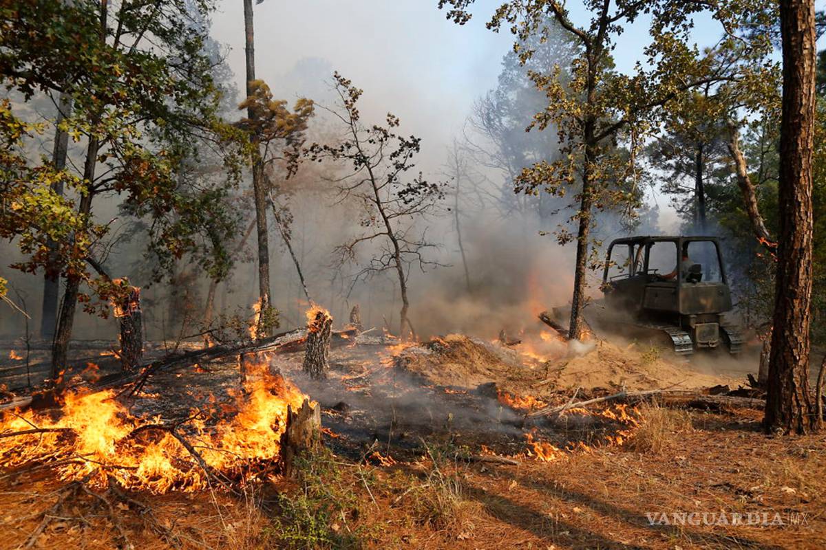 Declaran zona de desastre en Texas por fuerte incendio forestal