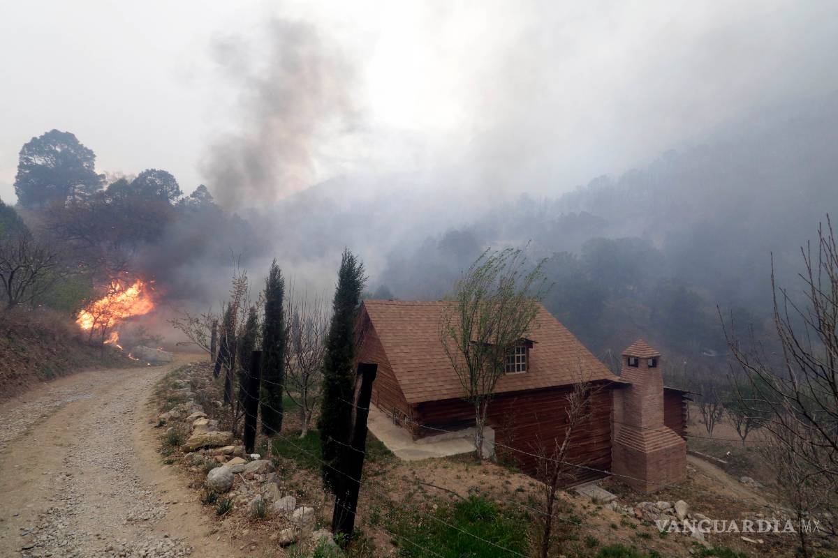 $!La tragedia de la Sierra de Arteaga: quemabosques aún sin castigo