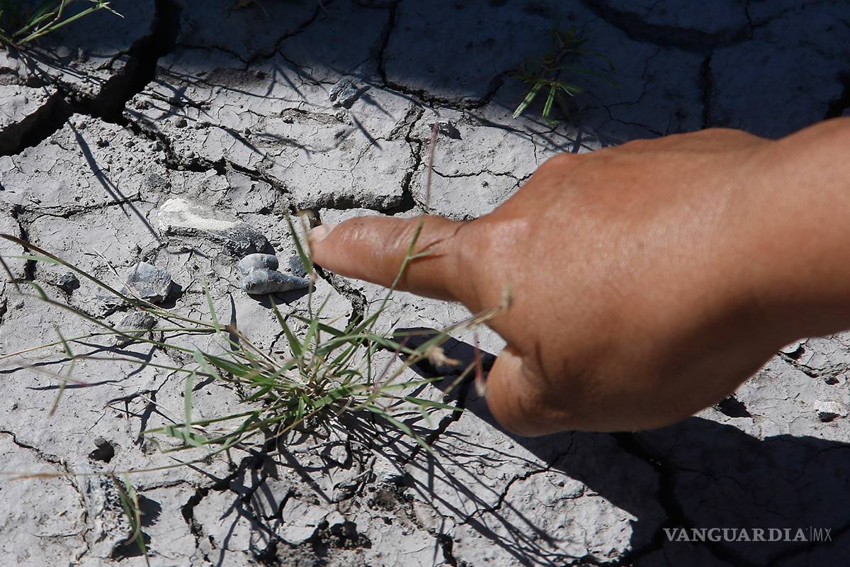 Más de un año pasó para que Patrocinio llamara la atención