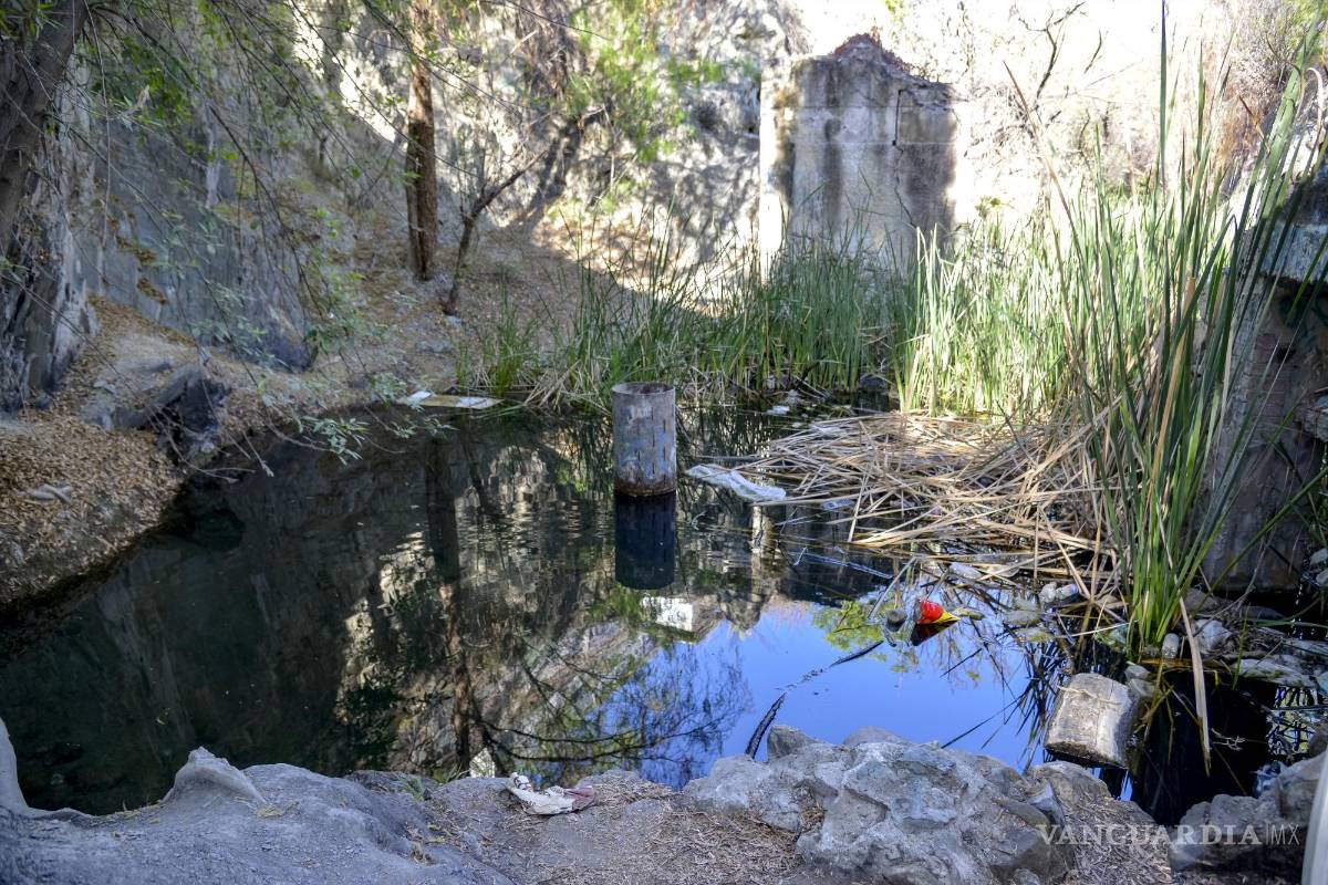 Alto grado de contaminación del Pozo Azul vuelve letal entorno para Carpita de Saltillo