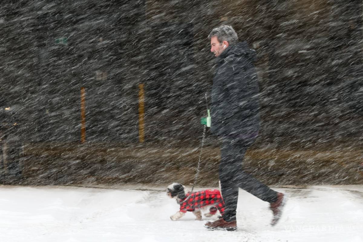 $!Una persona pasea a su perro bajo la nieve que cae en Toronto mientras una tormenta invernal avanza por la región.