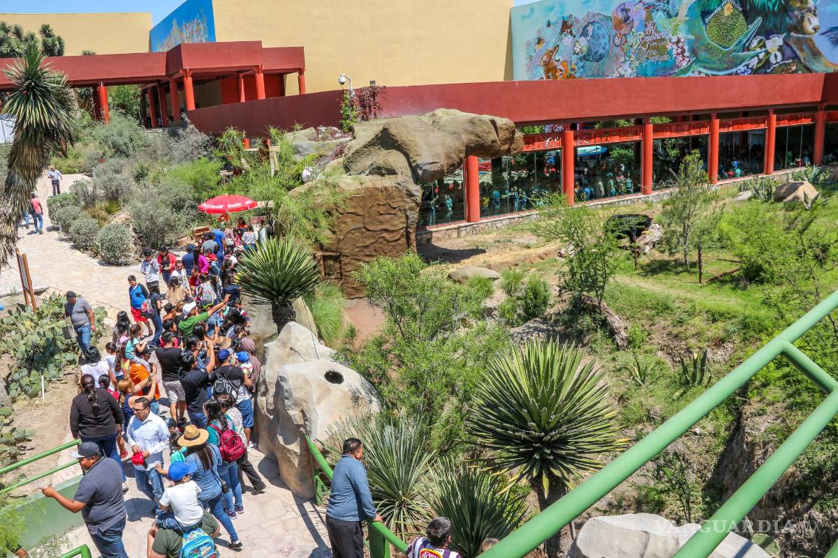 $!¿Vacaciones en Saltillo? La Feria del Desierto te espera