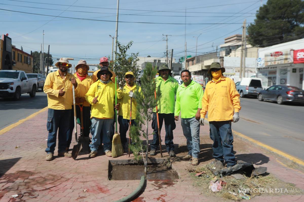 $!El tramo reforestado va del periférico LEA a avenida Universidad.