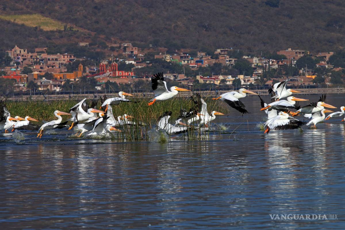 $!Decretos del agua de EPN son 'peligrosos' y 'sin base constitucional': académico de la UAM