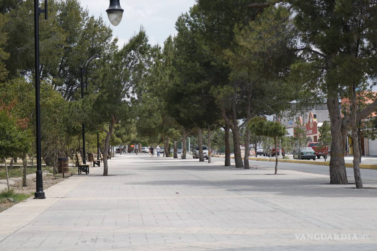 Ni compradores ni vendedores en la Alameda de Arteaga