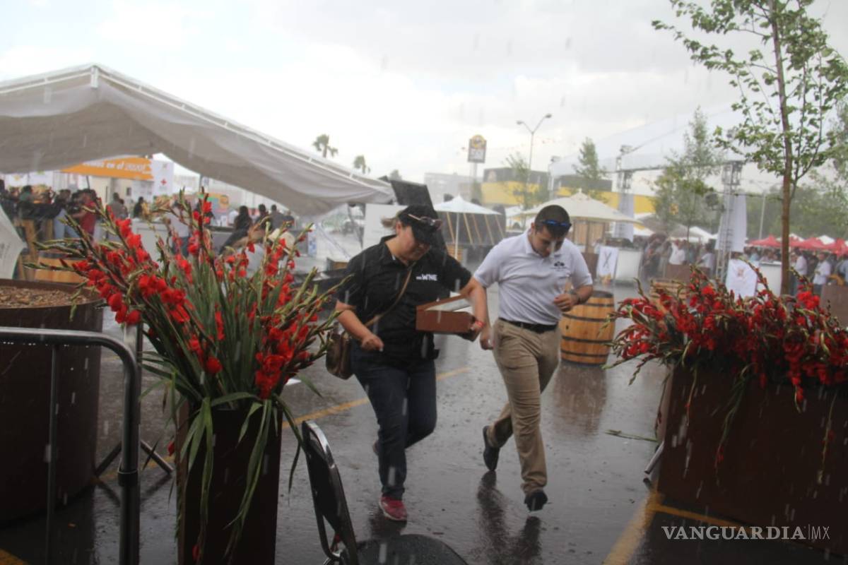 Tromba causa caos en norte de Saltillo; caen árboles y panorámicos