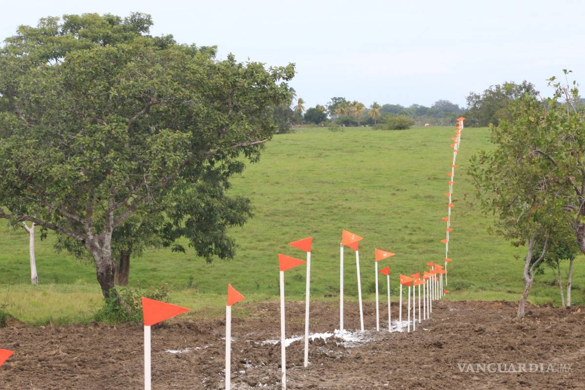 Realizará el Politécnico estudios para construcción del Tren Maya