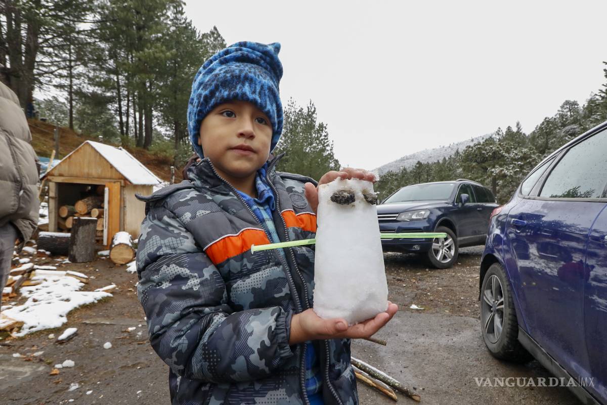 $!No, no es Suiza ¡es la sierra nevada de Arteaga, Coahuila! (Fotogalería)