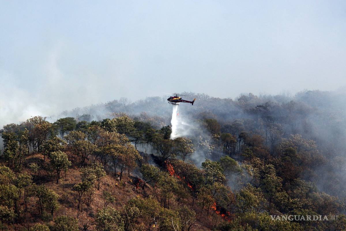$!El 99% de incendios en bosques de CDMX son provocados