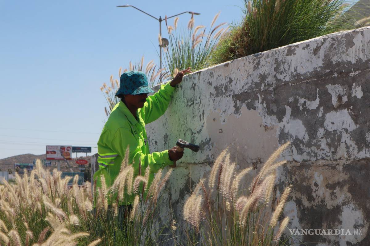 $!La rotonda a Venustiano Carranza fue rehabilitada con restauración de fuente, sistema de riego con agua tratada y reforestación con ornato.