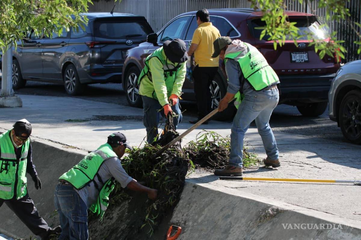 $!Además de la pintura en vialidades, las brigadas realizaron deshierbe y limpieza de camellones.