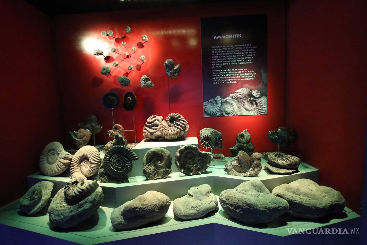 $!Museo del Desierto de Saltillo acerca a la gente a sus investigadores para que aprecien su trabajo en laboratorio