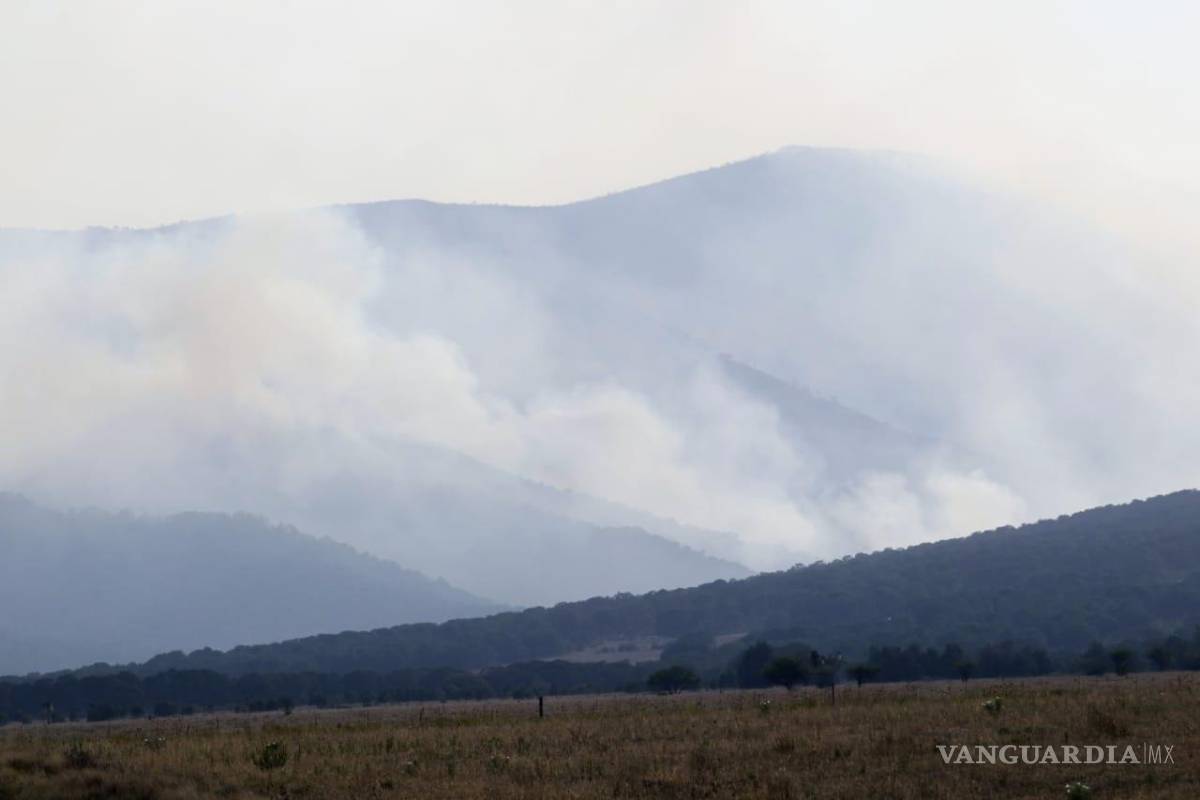 Saltillo: biólogos proponen bombardear nubes para combatir incendios
