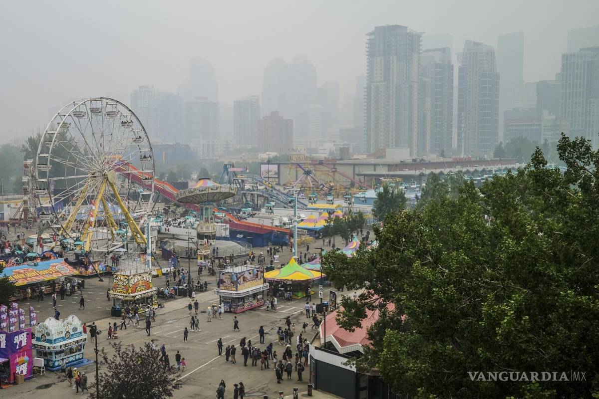 Contaminación por metales ya se refleja en nuestros huesos