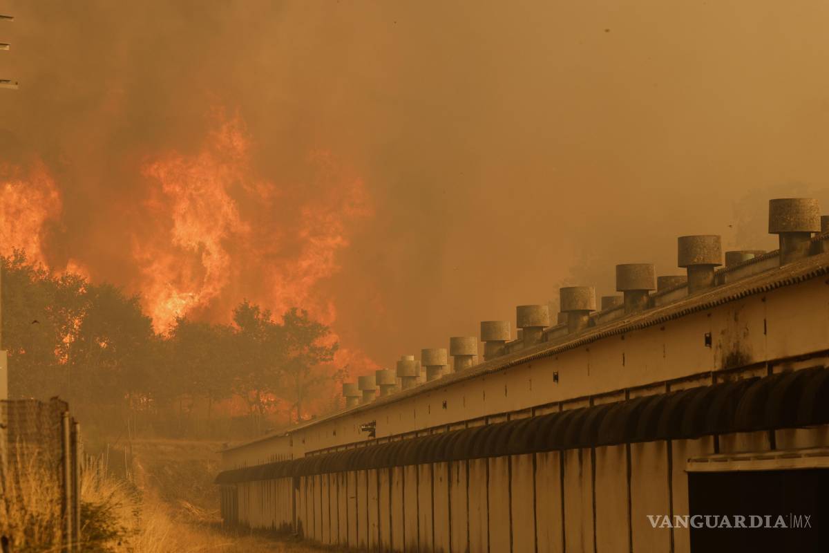 $!Las llamas se acercan a una granja durante un incendio forestal en Santa Baia de Montes, en el noroeste de España.
