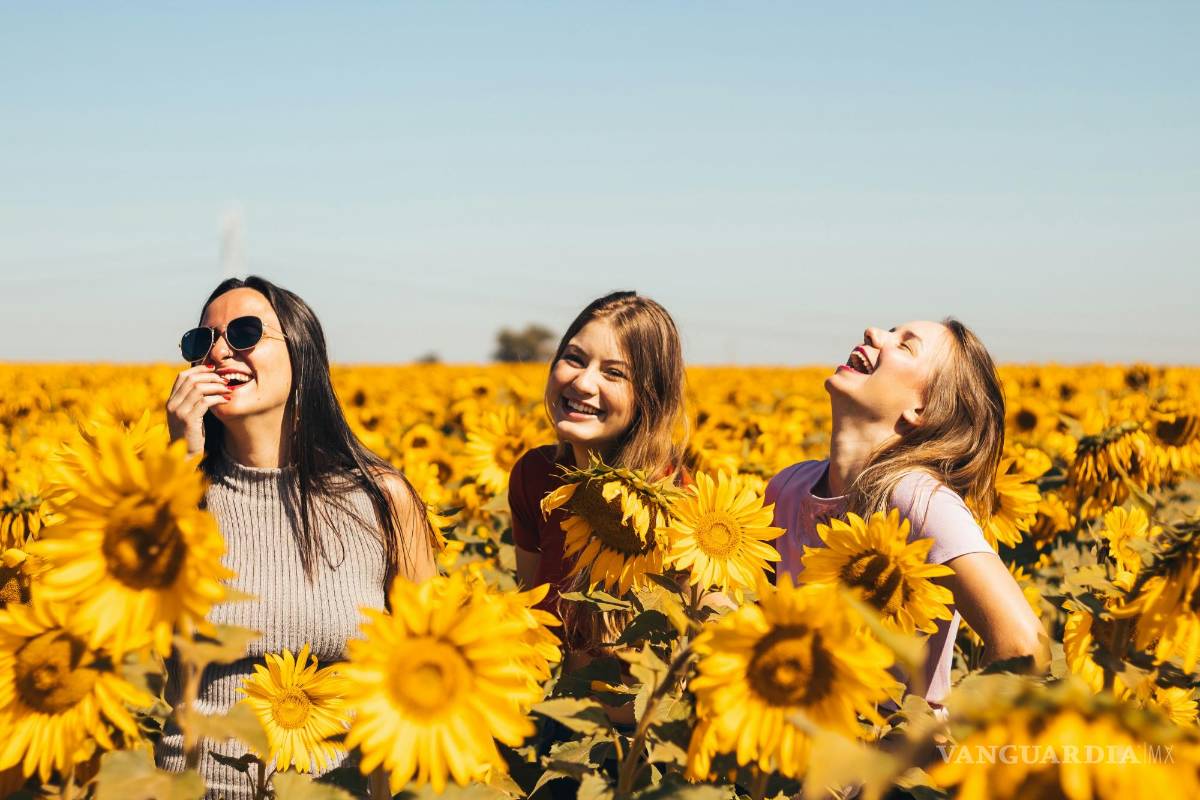 $!Tener conexiones significativas con amigos, familiares y compañeros puede enriquecer nuestra vida de muchas maneras.