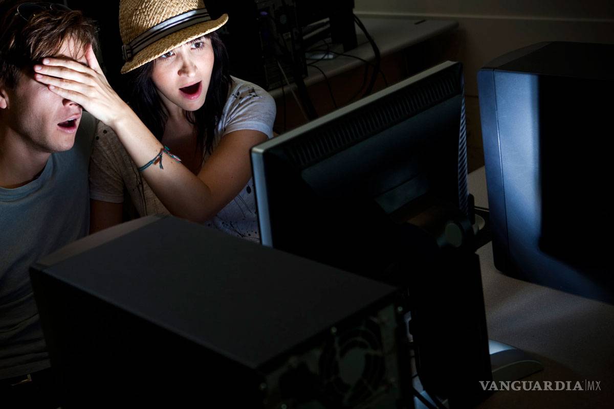 Hay tres tipos de consumidores de contenidos eróticos, según estudios