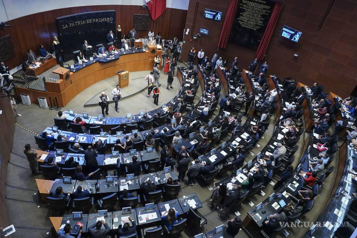 Senado aprueba por unanimidad la portación de armas para funcionarios de CFE, Pemex y SAT