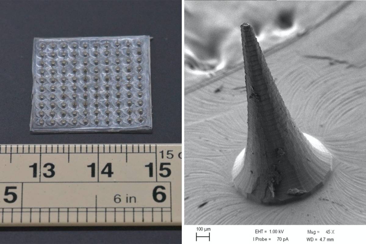 $!Con esta alarma podrás saber si los alimentos están contaminados