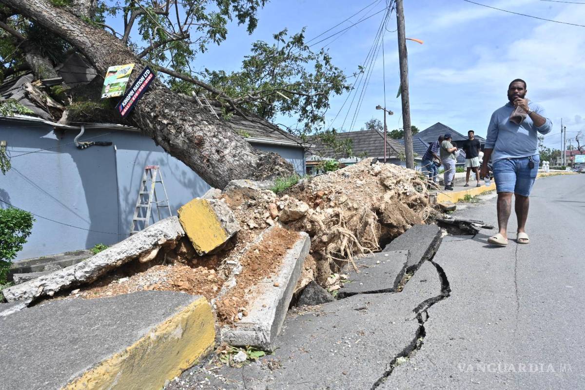 $!Una persona camina frente a un árbol caído debido al paso del huracán Melissa en la Parroquia de Saint Ann en el condado de Middlesex, Jamaica.