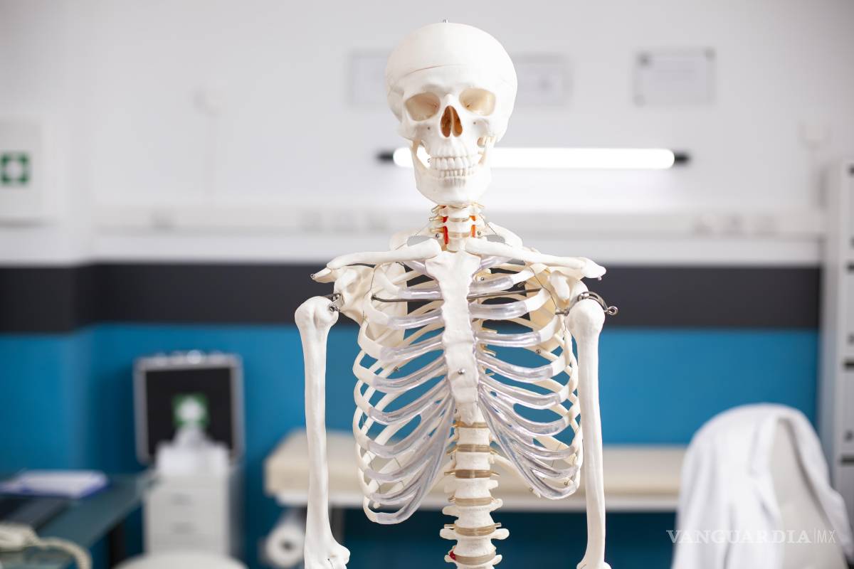 $!Durante años, el calcio ha sido el protagonista indiscutible cuando se habla de salud ósea y prevención de fracturas.