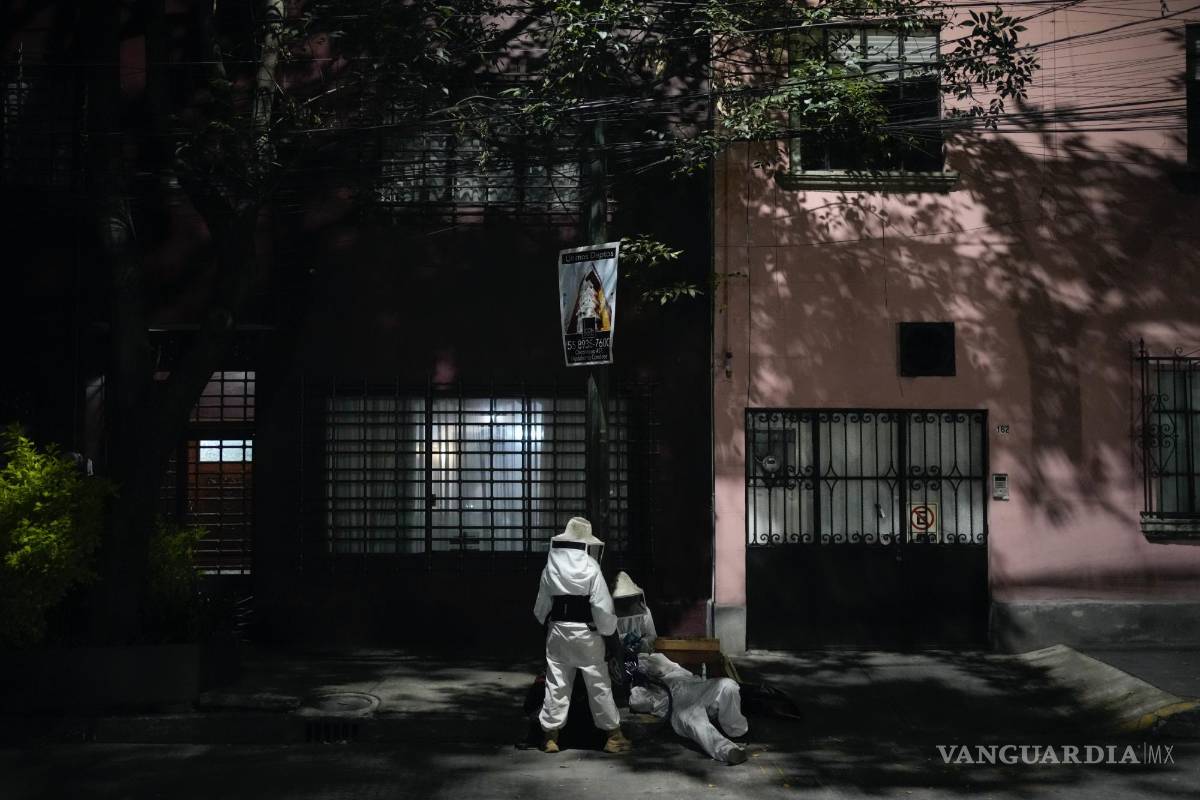 $!Adriana Veliz y miembros de su grupo Abeja Negra SOS rescatan una colmena que las abejas en CDMX.