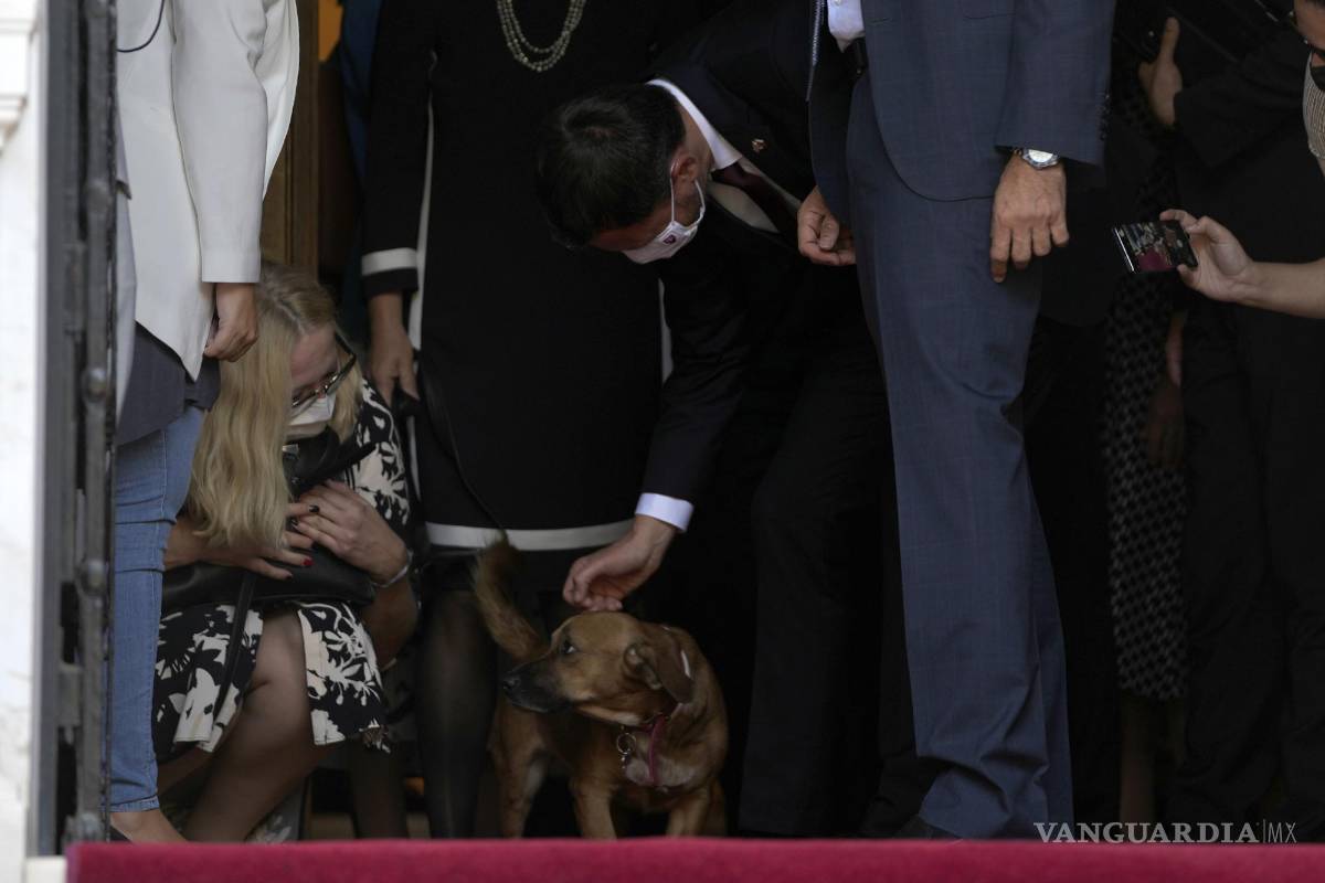 Perrito del premier griego interrumpe en una conferencia de prensa