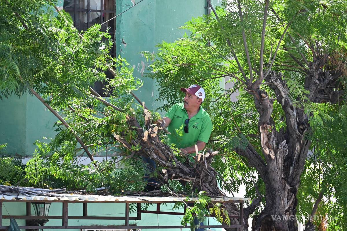 $!Protección Civil y Servicios Primarios atendieron afectaciones en distintos sectores del municipio.