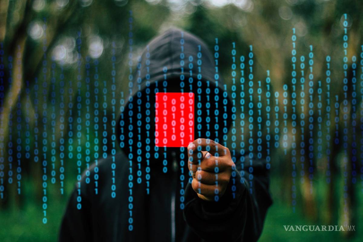 Desmantela EU una agrupación internacional de cibercriminales