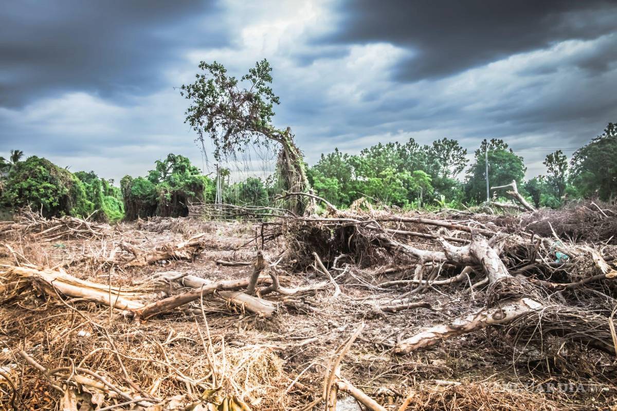 ¿Quedan dos años para salvar el planeta?, alto mando de la ONU hace advertencia sobre cambio climático