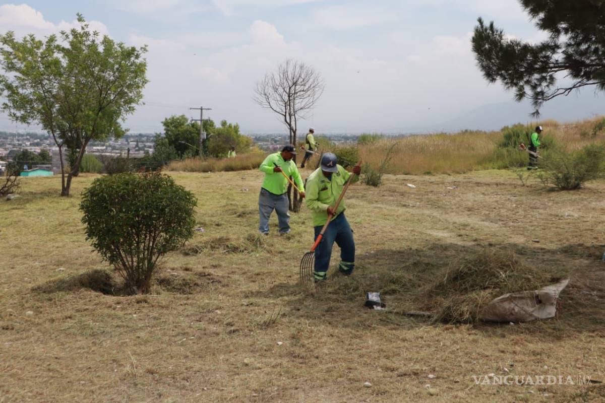 $!Brigadas municipales intervinieron la plaza de Colinas de San Francisco con labores de limpieza y retiro de maleza.