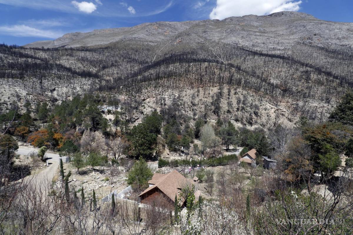 $!La sierra ceniza, tras 3 mil 680 hectáreas consumidas por las llamas. Ese es el paisaje en La Pinalosa.