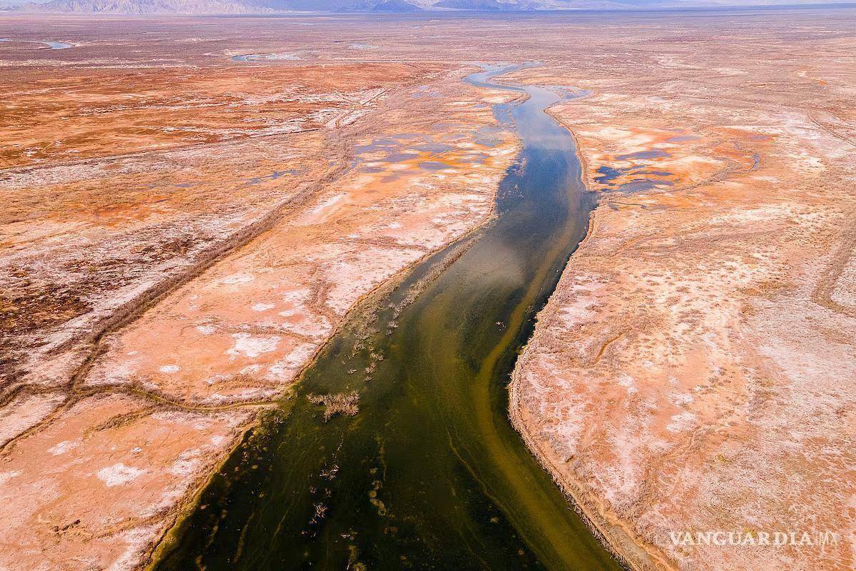 Estados y municipios deben ser parte en tratado de aguas internacionales