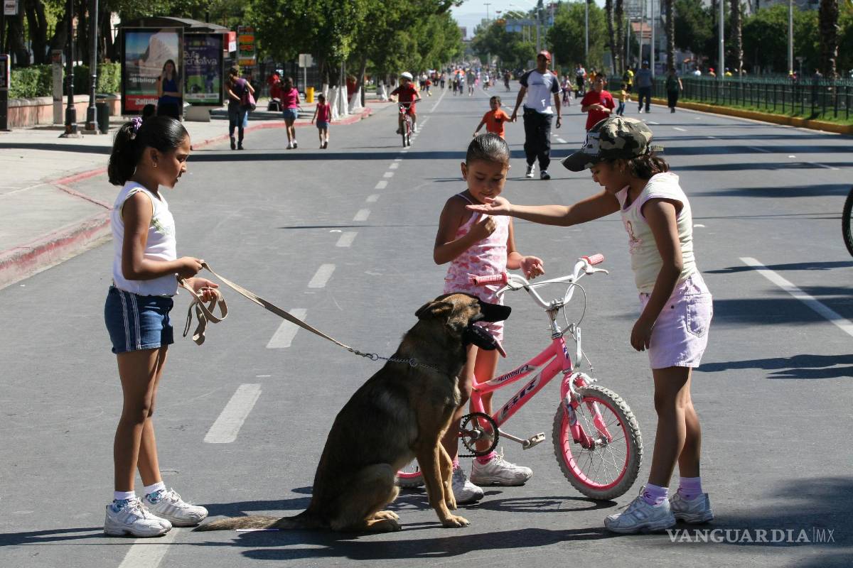 $!¡Ruta Recreativa de Saltillo pro ‘lomitos’ rescatados! Convocan a caminata y zumba para recaudar croquetas