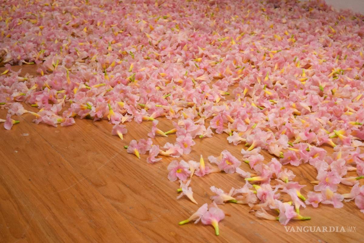 MARCO se convierte en jardín con su nueva exposición colectiva