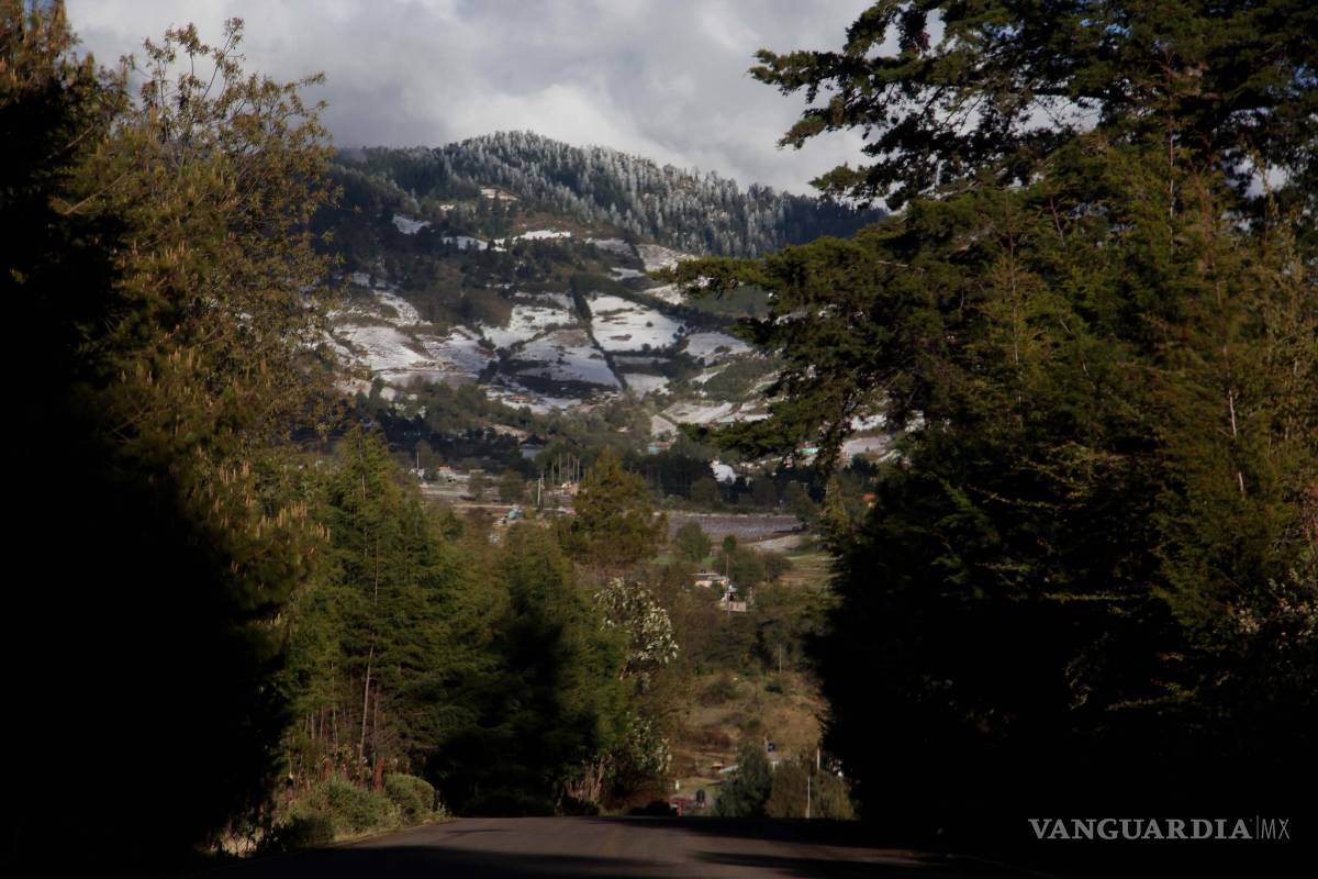 $!Grupo México busca explotar mina en reserva de la monarca; EU pide a EPN detenerlo