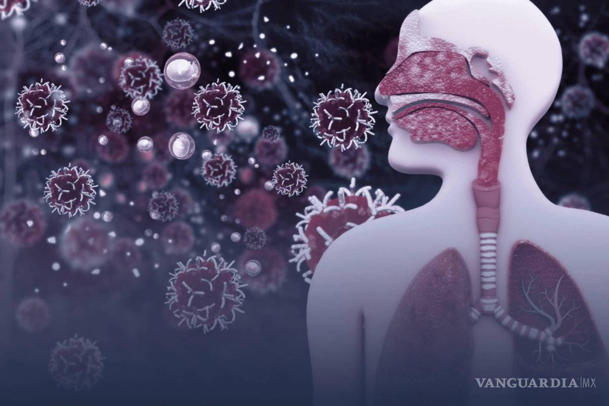 Descartan emergencia sanitaria, pese alarmas por virus en China