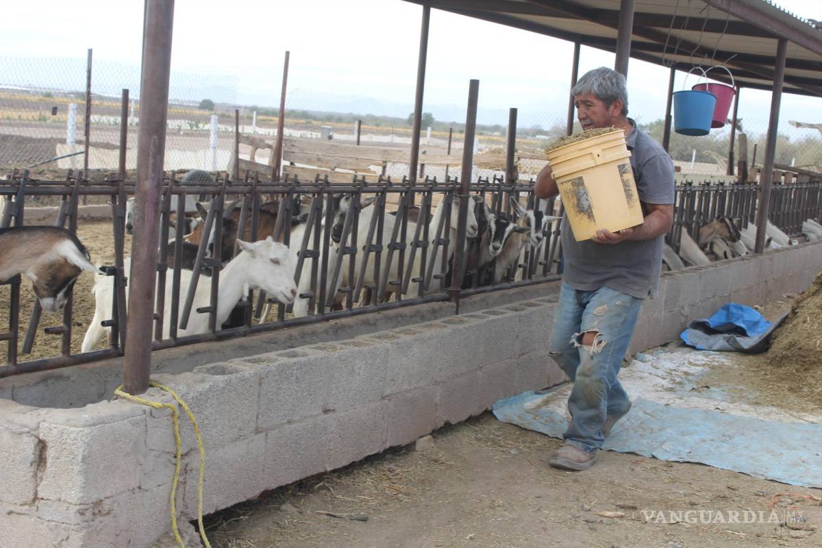 $!A un costado de Lequeitio está el ejido Las Mercedes donde trabajan la tierra los hermanos Felipe y Juan Varela, ejidatarios de 78 y 71 años.