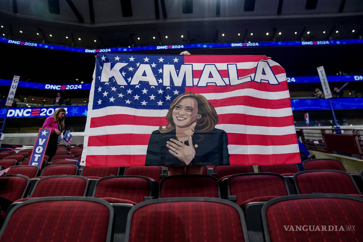 $!Un delegado sostiene una bandera política durante la segunda noche de la Convención Nacional Demócrata (DNC) en el United Center en Chicago, Illinois.
