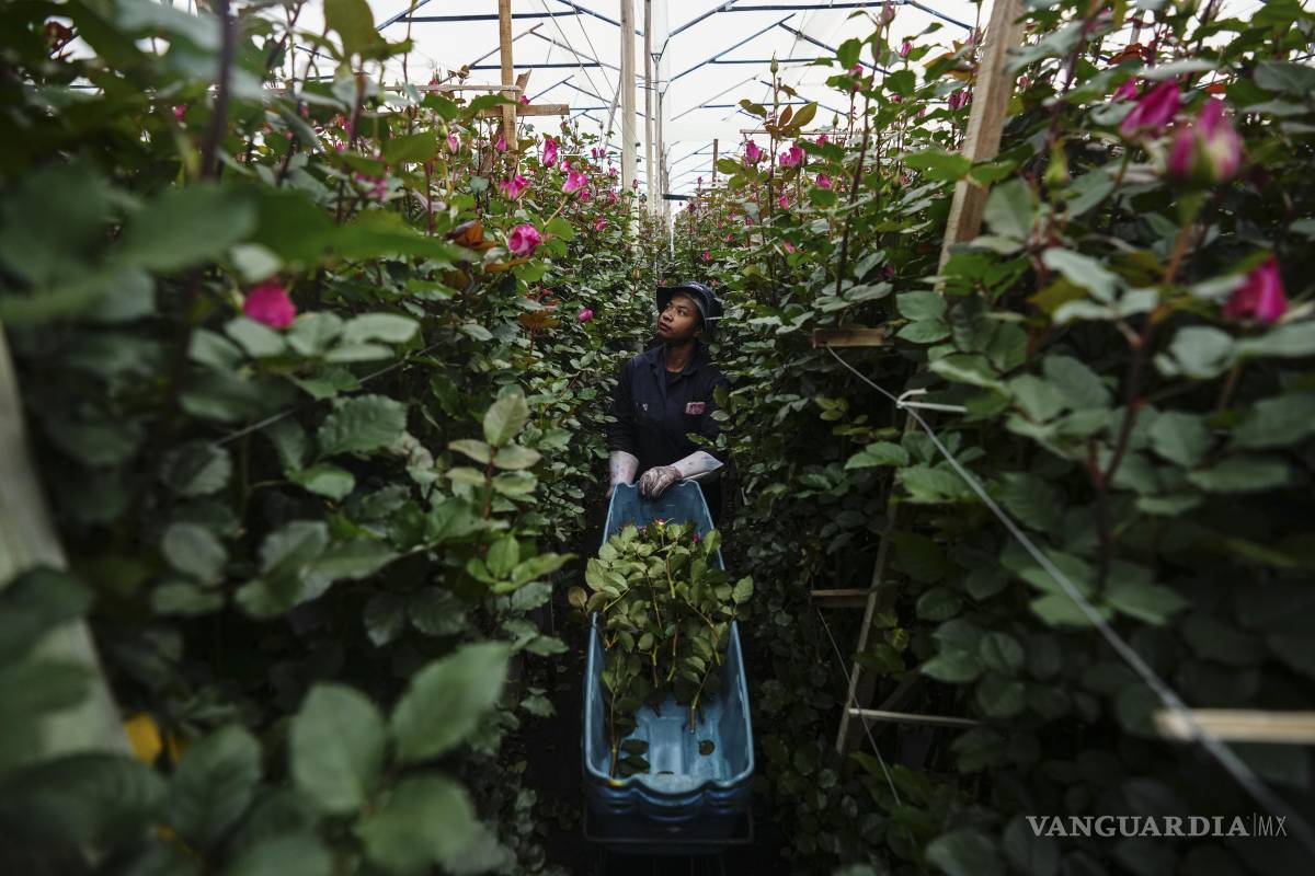 Ganan migrantes en Estados Unidos 4 veces más que en México