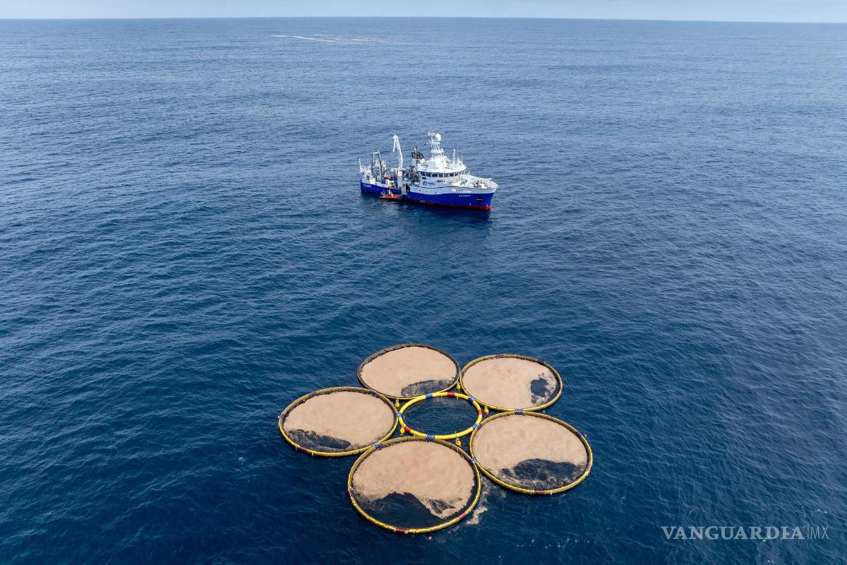 $!Estructuras circulares desarrolladas por Gigablue flotan en el océano Pacífico, frente a la costa de Dunedin, Nueva Zelanda; parte de un proyecto para cultivar pequeños organismos llamados fitoplancton que absorben el dióxido de carbono del océano.