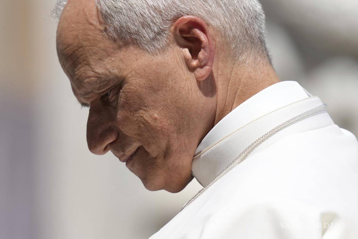 León XIV se reúne con la comisión de protección infantil del Vaticano