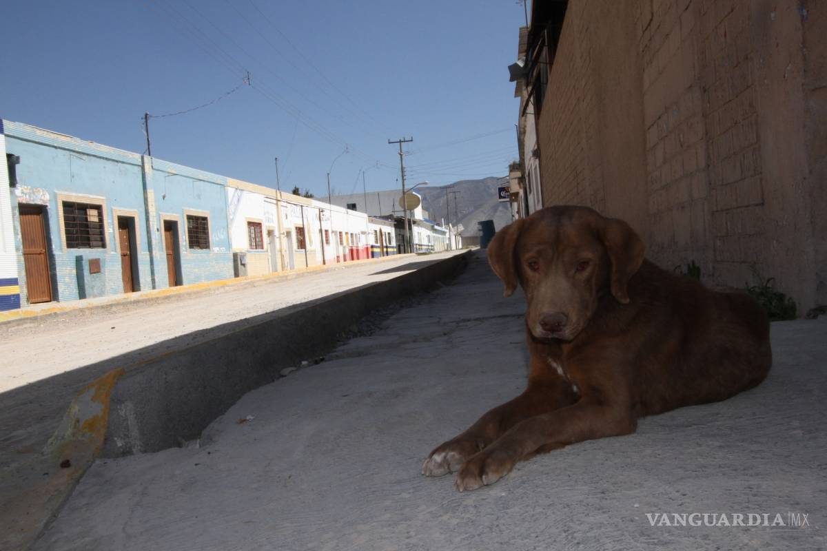 Prostíbulos de zona de tolerancia de Saltillo serían convertidos en restaurantes-bar