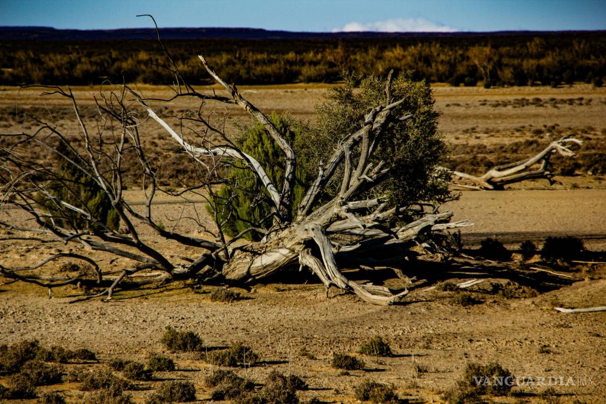 $!Olas de calor, sequías severas e inundaciones torrenciales son algunos de los fenómenos que se están intensificando.