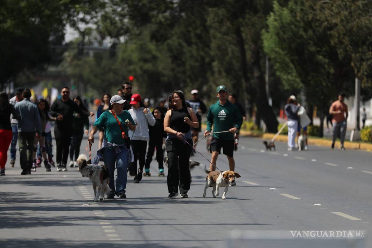 $!Familias saltillenses recorren cada domingo el bulevar Venustiano Carranza como parte de la Ruta Recreativa, en una iniciativa que fomenta el deporte y la convivencia .