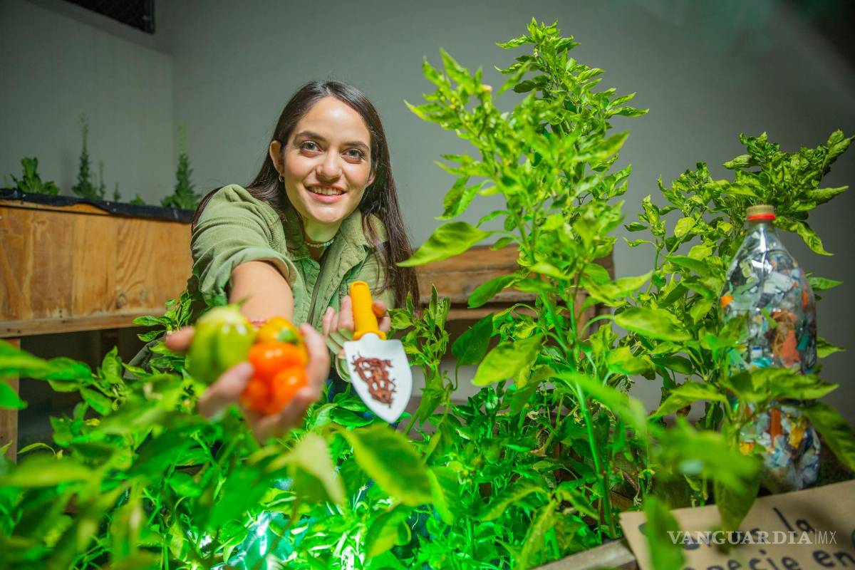 Melissa Capó: Tips para una cultura sustentable