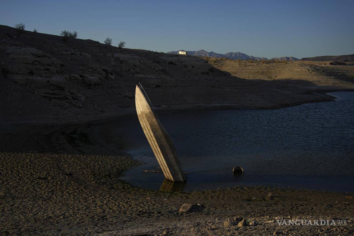 50 % de la población mundial ya está padeciendo los efectos de la sequía